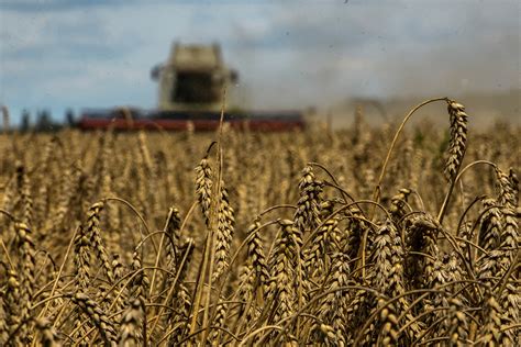 Patchwork Fixes To Ukraine Grain Shortfall Leave World Vulnerable A