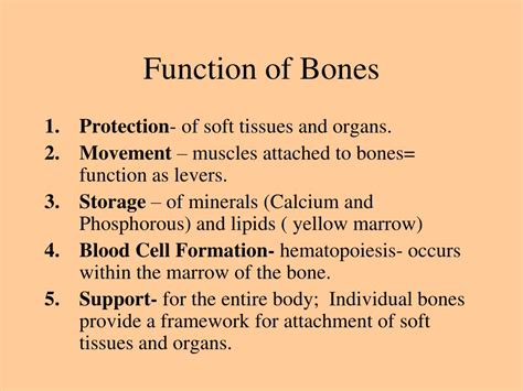 Ppt Bones And The Skeletal System Powerpoint