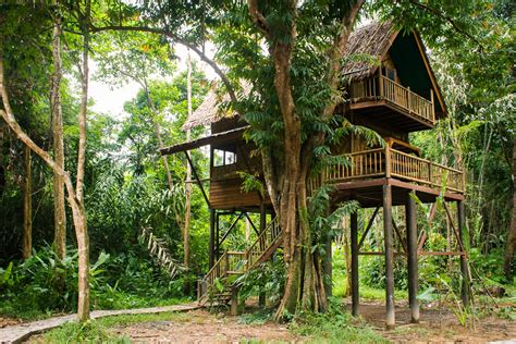 Our Jungle Camp Khao Sok Eco Accommodation