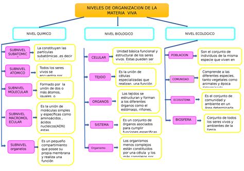 Mapa Conceptual Niveles De Organizacion De La Materia Viva Material Sexiz Pix