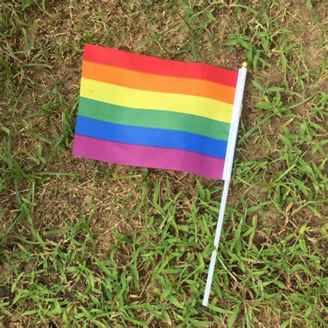 Rainbow Flag Colorful Rainbow Peace Flags Banner Lgbt Flag Lesbian Gay Parade Bisexual