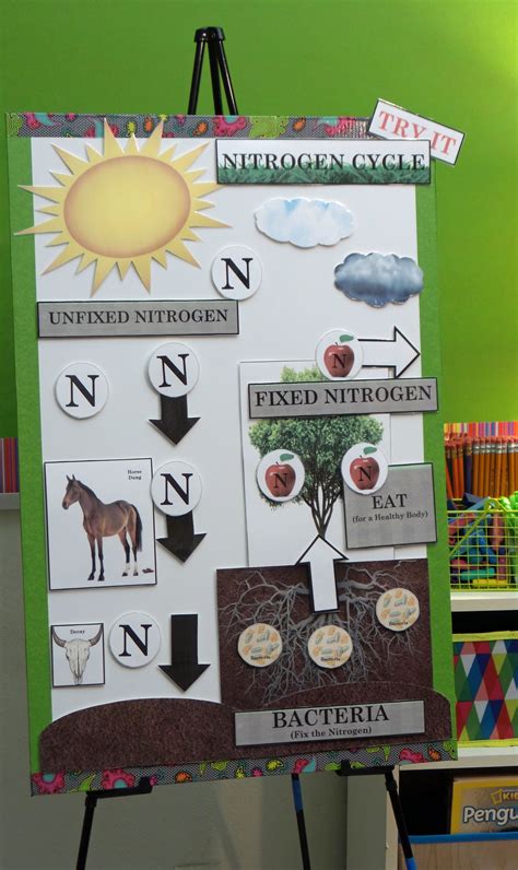 Active Anchor Charts Nitrogen Cycle Click To See More Homeschool Life