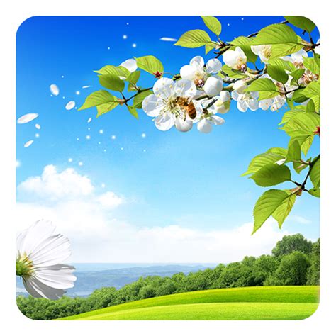 12 Android Nature Flower Live Wallpaper Basty Wallpaper