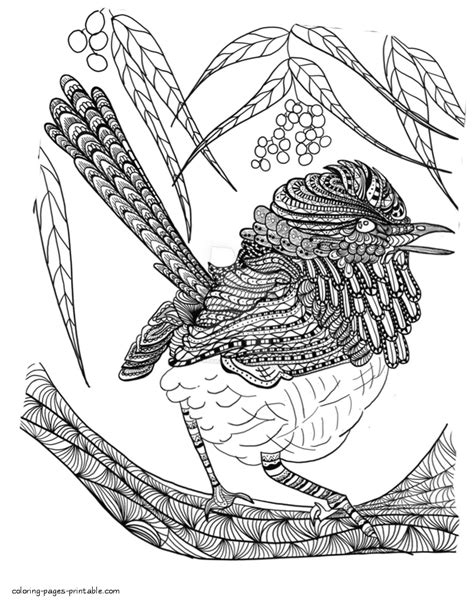 Adult Coloring Pages A Bird Coloring Pages Printable Com