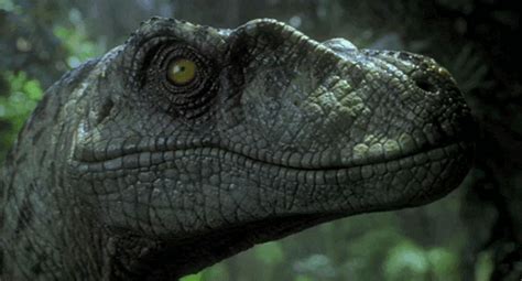 Dinosaur Jurassic Park Gif 53997