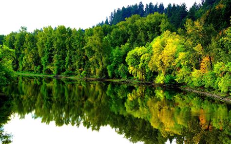 River In Autumn Coast Forest Trees Reflection In Water Landscape Ultra
