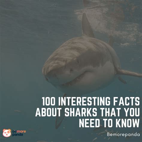 100 Interesting Facts About Sharks That You Need To Know