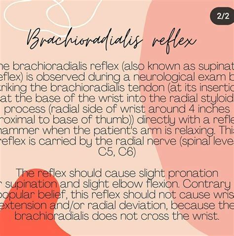 Brachioradialis Reflex Occupational Therapy Therapy Exam
