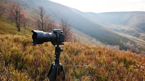 Best Camera For Wildlife Photography Beginner Ninja Camera