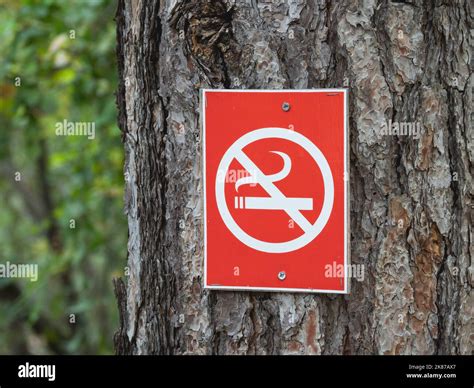 Red No Smoking Sign On Tree Outdoors Rules Of Conduct And Safety In