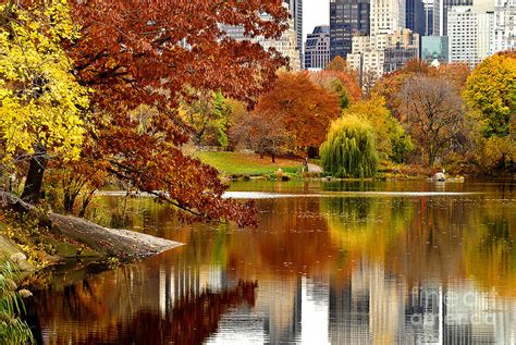 Autumn Colors In Central Park New York City Photograph By Sabine Jacobs