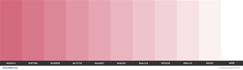 Pinkish Colors Palette D46a7e D8798b Dd8898 Colorswall