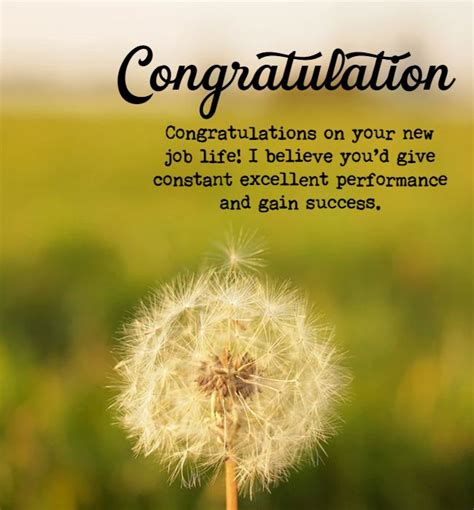 70 Congratulations Messages For Job What To Write In A Congratulations