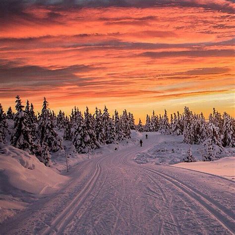 Winter Sunset 🌅🌅🌅 Lillehammer Norway Picture By Annemeide Have A