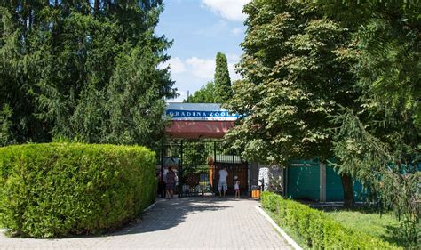 La moment în colecția grădinii zoologice sunt peste 1000 de animaale de diferite specii de pe toate continentele, chiar și. Gradina zoologica Targoviste | 365romania.ro