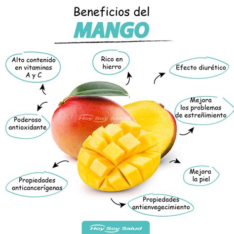 Beneficios del mango y cómo prepararlo FOTOS HOYSOY NET
