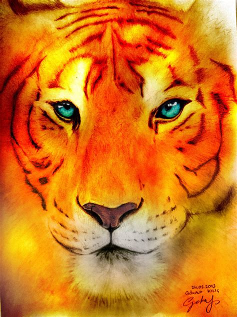 Tiger Drawing Colored By Gokalp10 On Deviantart