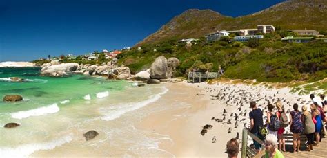 Cape Towns Best Beaches Cape Town Travel Best Beach