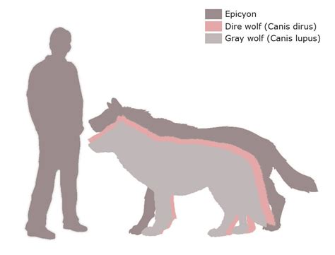 They buy and sell them like they do the arabian horses. Largest prehistoric mammals | Dire wolf, Grey wolf, Dire ...