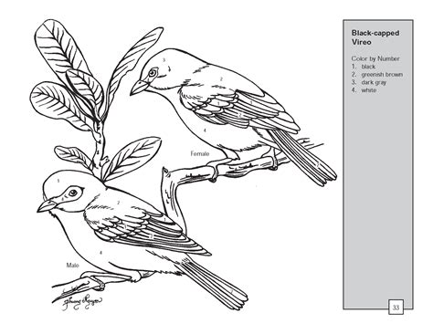 Aves 11981 Animales Dibujos Para Colorear E Imprimir Gratis