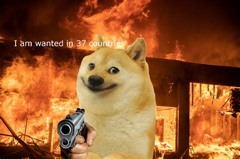 Le Doge Is Wanted For Warcrimes Rdogelore Ironic Doge Memes
