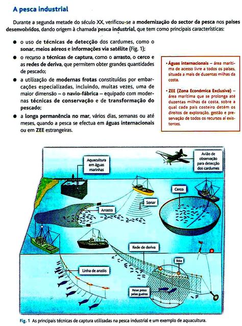 Netgeografiapaz Pesca Dustrial Características Impactos 2