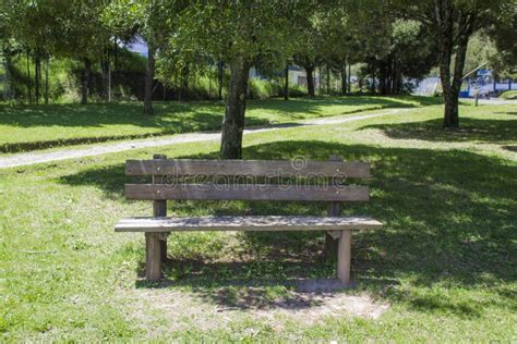 Isolated Wooden Bench In A Park Surrounded By Grass And Trees Rest