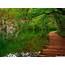 Nature River Wooden Path Wallpaper 2560x1600  Wallpapers13com