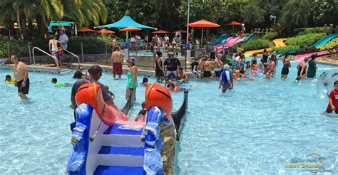 Aquatica Seaworld Kid Areas In Orlando Things To Do With Kids At