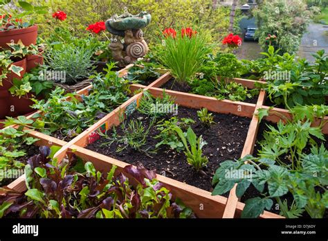 Square Foot Gardening By Planting Flowers Herbs And Vegetables In