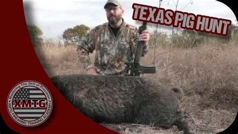 Texas Pig Hunt YouTube