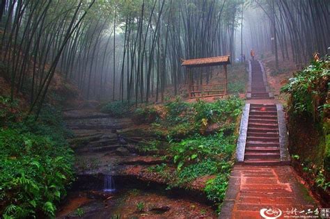 Mystical Bamboo Forest In China Chinese Landscape Wonderful Places