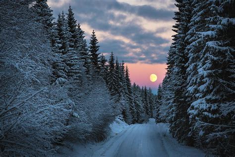 Christmas Forest Norwegian Forest In Winter Mood With Full Moon Rise