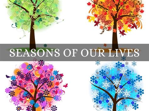 Seasons Of Our Lives By Darcia Deloach