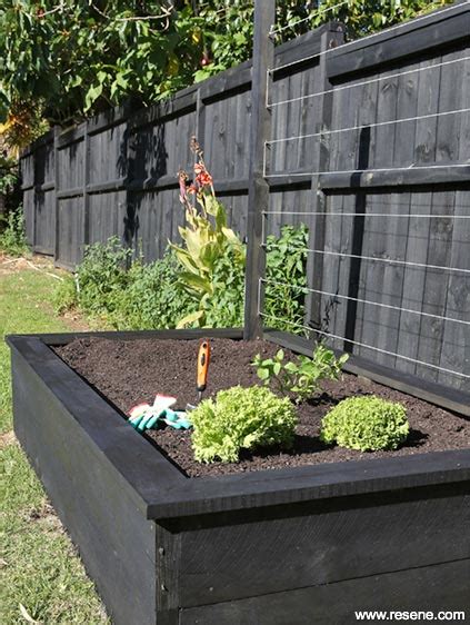 Great tips on dealing with the pests as well! How to make a raised vegetable garden | Habitat, issue 20
