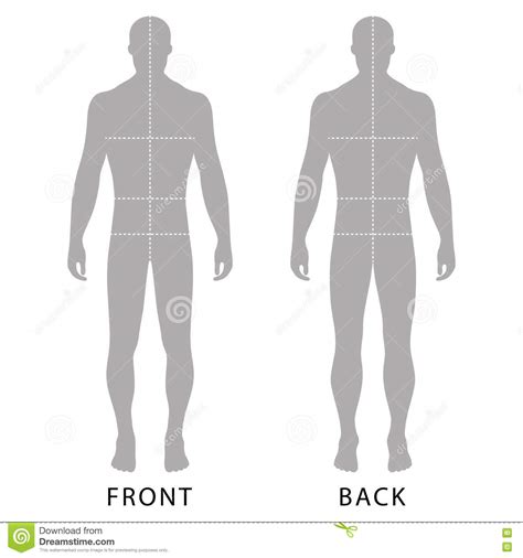 Human body parts brushes pack kid builder part 2 body parts Man's template figure stock vector. Image of central - 77983598