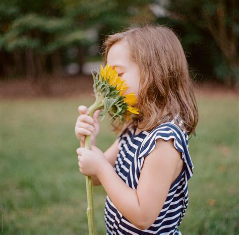 Cute Babe Girl With Her Face In Big Sunflower By Stocksy Contributor Jakob Lagerstedt Stocksy
