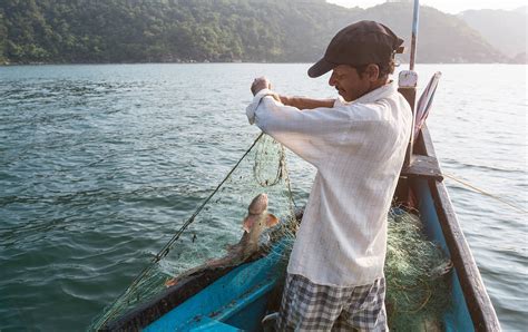 Nicer weather unfortunately brings with it some very annoying pests. Go Fish! 5 Ways to Keep Bugs Away While Fishing | OFF ...