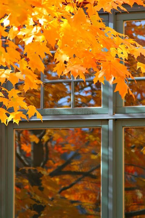Autumn Window Stock Photo Image Of Window Fall Leaves 1139910