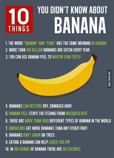 10 Things You Didnt Know About Banana You Can Find More Fun