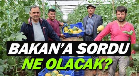 Videosu benim kafamda tek bir soru işareti bile bırakmamıştır.süleyman soylu istifa etmelidir. Hasan Subaşı İçişleri Bakanı Soylu'ya izne tabi ...