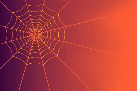 Autumn Background Spiders Web Free Stock Photo Public Domain Pictures