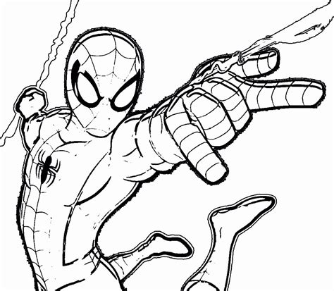 Dibujo De Spiderman Para Colorear Dibujos Para Colore Vrogue Co