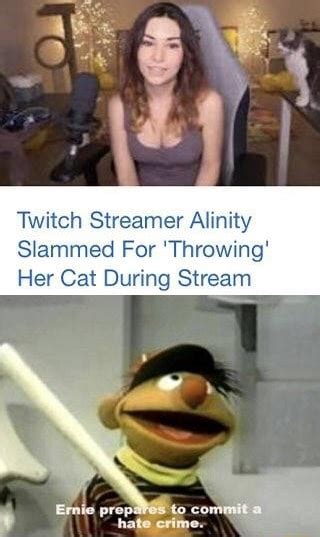 Twitch Streamer Alinity Sammed For Throwing Her Cat During Stream