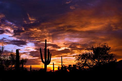 Im So Homesick 😢 Tucson Sunset Arizona Sunrise Tucson Arizona