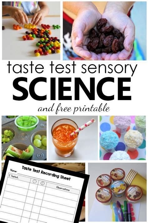 Learn About The Five Senses And Investigate Different Foods With These