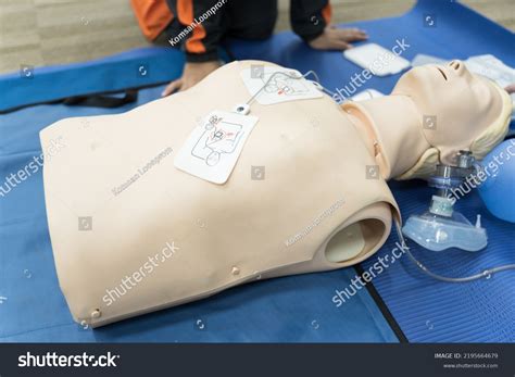 Demonstrating Cpr Cardiopulmonary Resuscitation Training Medical Stock