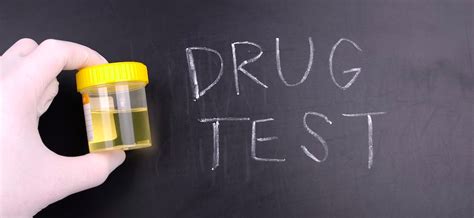 Tips Before A Urine Drug Test Dnasu