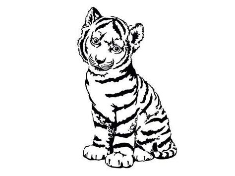 Tiger Cubs Coloring Pages Cute Coloring Pages Cute Tigers Cute