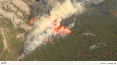 Hd2009 9 37 12 Forest Fire Big Flames Aerial Spectacular Stock Video
